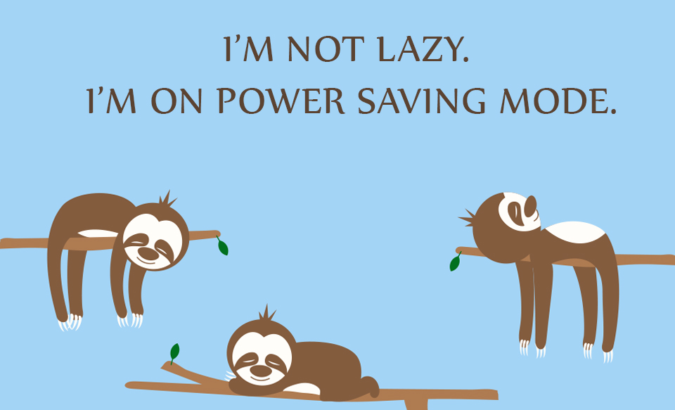 lazy sloth